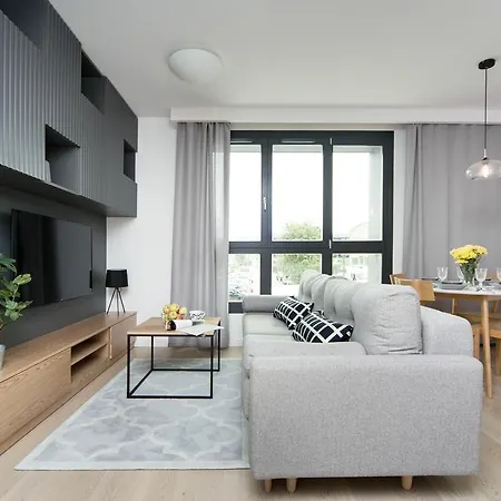 Lemir Wawrzynca 21 * Cracovia